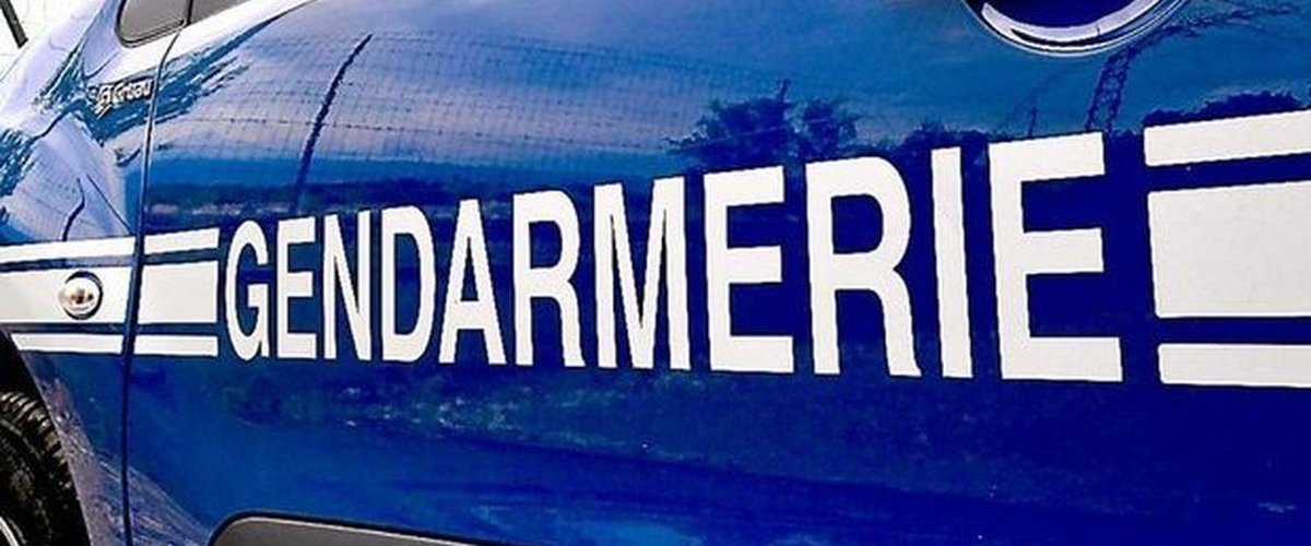 Sans signe d’elle pendant plusieurs mois, une femme découverte morte sur son lit aux côtés des cadavres de ses trois chiens