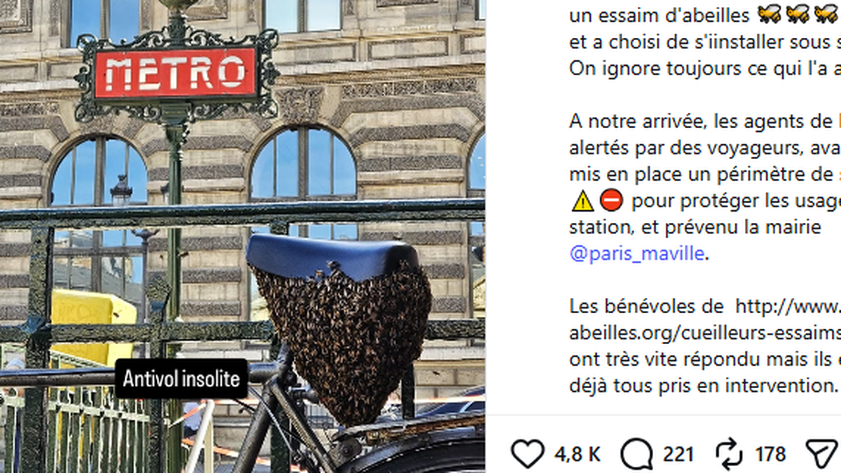 Un cycliste gare son vélo près d’une bouche de métro au cœur de Paris et le récupère avec un essaim de millier d’abeilles sous la selle