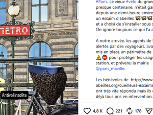 Un cycliste gare son vélo près d'une bouche de métro au coeur de Paris et le récupère avec un essaim de millier d'abeilles sous la selle