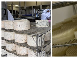 Super or, or et bronze : "Une vitrine de l'excellence", l'Aveyron en force au Mondial du fromage au Brésil, avec le roquefort et le pérail sacrés