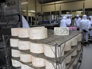 Tourisme : les caves de roquefort Société récompensées pour la qualité de leur accueil et des visites décrochent le label national "Destination d'excellence"