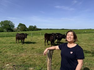 "C'est une viande spéciale, un produit haut de gamme" : l'excellence japonaise du wagyu s'invite en Aveyron