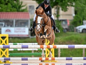 Équitation : à Rodez, le Jumping séduit toujours
