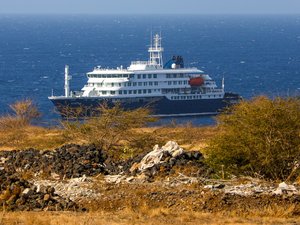 Trois morts sur un bateau de croisière : c'est quoi l'hantavirus, qui a déclenché la grave situation médicale à bord et qui interdit le navire de débarquer ?