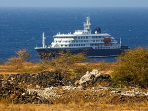 Virus mortel sur un bateau de croisière : "Nous supposons qu'ils ont été infectés en dehors du navire", l'OMS soupçonne une "transmission interhumaine"
