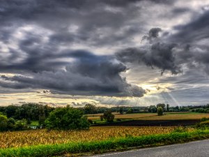 CARTE. Météo : du soleil et de la douceur avant un retour brutal de la pluie et des orages, à quoi s'attendre pour ce long week-end du 8 mai ?