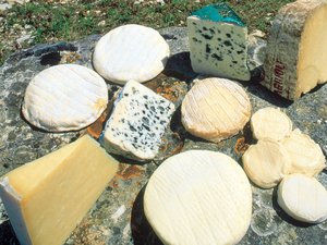 Pourquoi les fromages aveyronnais sont-ils partis en force au Brésil ?