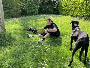 "Ici, ils sont détendus" : dans cette ville d'Aveyron, un havre de paix pour les chiens et leurs maîtres