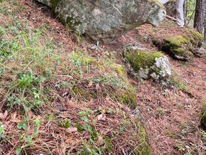 Hors des sentiers battus : en Aveyron, pénétrez les secrets de la vallée préservée de la Muse