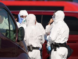 Hantavirus : "pas dans la situation de janvier 2020", une Française dans un état grave, absence de vaccin... Ce qu'il faut retenir de la conférence de presse des spécialistes