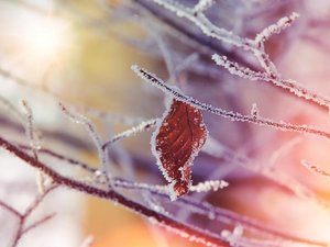 "8 à 10 °C sous les normes de saison" : de la neige et un gros coup de froid en Aveyron en fin de semaine