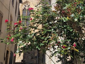 "C'est du partage avant tout !" : ce village de l'Aveyron aime parler le langage des roses