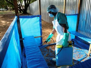 Pas de vaccin ni de médicament, hautement mortel : l'OMS déclare une urgence internationale pour l'épidémie d'Ebola qui frappe en Afrique