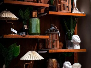 Plantes, déco, linge de maison : l'escroc revendait en Occitanie des articles qu'il n'avait jamais payé à ses fournisseurs