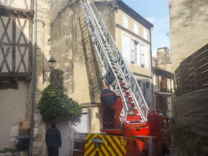 Il se retrouve la tête en bas, suspendu sous la gouttière d'un toit en pleine nuit : les pompiers sortent la grande échelle pour venir en aide... à un pigeon
