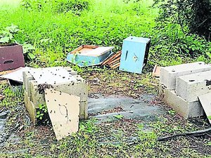 "Il se peut que la reine soit morte" : 3 ruches et des milliers d'abeilles détruites par un acte de vandalisme dans ce rucher-école de l'Aveyron