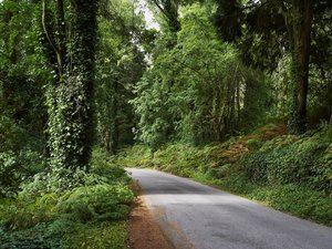 Kidnappés en France par leur mère, deux enfants de 3 et 5 ans abandonnés les yeux bandés dans une forêt au Portugal, un couple en voiture les trouve en pleurs au bord de la route, appelant leur père