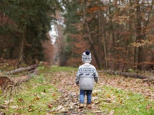 "On nous a bandé les yeux et on nous a envoyés chercher un jouet caché" : ce qu'ont dit les enfants abandonnés dans une forêt au Portugal, leur mère a été interpellée ce jeudi