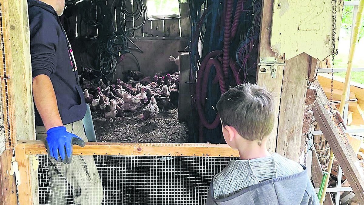 Egg-Laying Animals Becoming Popular Pets in Occitanie