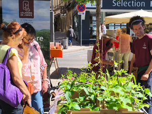 Premier test réussi pour la foire de printemps des commerçants dans le centre historique de Rodez