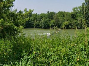 Un homme disparaît le long de la rivière Tarn, son fils découvre son corps immergé dans l'eau
