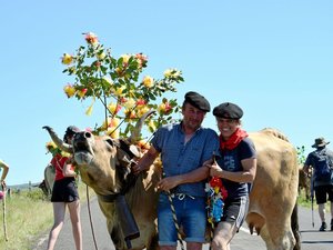 DIAPORAMA. Transhumance de l'Aubrac : nos images de cette édition sous le soleil qui a attiré une foule de visiteurs