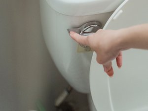 Après une dispute, elle vide les cendres du frère de son ex-compagnon dans les toilettes : l'affaire se termine au tribunal