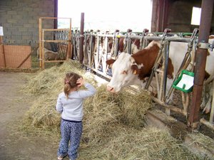 Traite des animaux, visites, dégustation de produits : ces cinq fermes ouvrent leurs portes en Aveyron ce week-end !