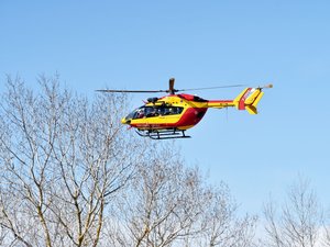 Le sexagénaire tombe d'un arbre en Aveyron : grièvement blessé, il est évacué par hélicoptère