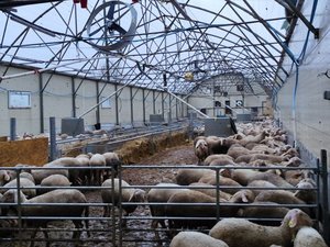 "Cela ne va pas assez loin", "rien sur les retraites" : une loi d'urgence qui n'enthousiasme pas les syndicats agricoles aveyronnais