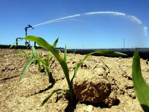 Crise énergétique, climat, modèle agricole à bout de souffle : en Aveyron, la Confédération paysanne et le Shift Project sonnent l'alarme