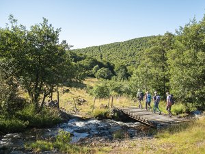 "Un territoire reconnu pour la pratique d'une grande variété d'activités" : avant l'été, l'Aubrac recense ses célèbres randonnées