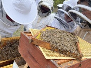 "Tout ce qui s'y trouvait a été perdu" : coup dur pour ces apiculteurs de l'Aveyron après l'incendie d'une miellerie