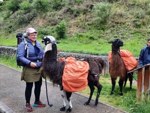 Le chemin de Saint-Jacques-de-Compostelle, tout un écosystème du tourisme en Aveyron