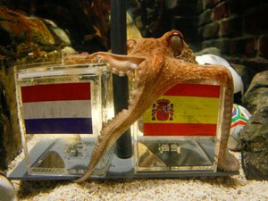 Coupe du monde 2026 : après la légende Paul le poulpe, l'intelligence artificielle prend le relais des pronostics, mais pas sûr que cela soit plus fiable...