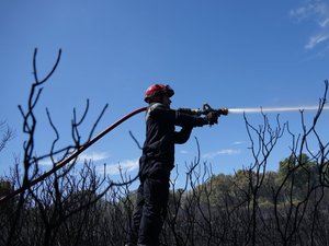 Le mistral attisait les flammes dans ce département d'Occitanie placé en risque élevé pour les feux de forêt, une école et un collège confinés