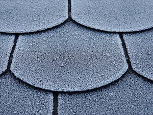 Il s'installe sur la lucarne étroite du toit d'un immeuble à plusieurs mètres de haut pour prendre l'air ou le soleil sans se rendre compte du danger