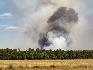 CARTE. Risque de feux de forêt : Météo-France cible la totalité de l'Occitanie pour la journée de ce jeudi
