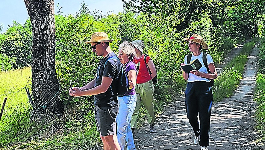 On 50 km of the GR65 in Aveyron, a Peasant Cabaret in September for the 30th anniversary of Derrière le portlot