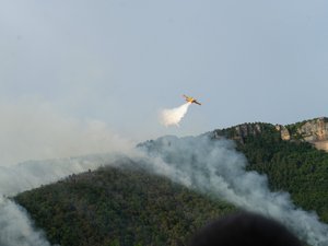 "Un terrain difficile d'accès et une forte pente ascendante" : un important incendie mobilise plus de 70 pompiers en Aveyron près de Millau, une vingtaine d'hectares ont déjà brûlé