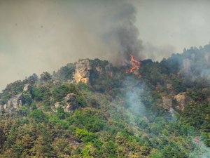 Premier gros incendie de l'été en Aveyron : "Le feu est sous contrôle" près de Millau après trois jours de bataille