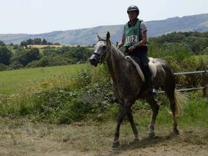 Bientôt un week-end équestre sur le Lévézou, écrin naturel de l'endurance à cheval