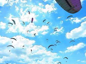 VIDÉO. "J'ai fait une belle remontada" : en Précoupe du monde, le parapentiste Guilhem Costecalde enflamme "son" ciel de Millau
