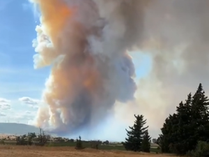 VIDÉOS. Départements en niveau rouge pour les feux de forêts : avec l'aide du vent, ça brûle fort entre l'Aude et l'Hérault