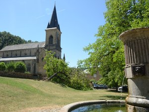 "C'est le troisième noyer qui meurt en peu de temps" : entre vent, orages et canicule, des cicatrices sur la végétation dans cette commune de l'Aveyron