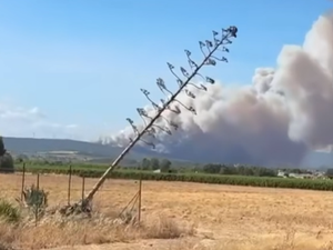 Risques de feux de forêts : le vent souffle toujours, plusieurs départements maintenus en rouge, l'Aveyron glisse en orange