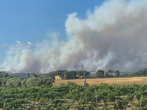 Incendie géant entre l'Hérault et l'Aude : plus de 600 hectares parcourus par les flammes, des habitations sont évacuées