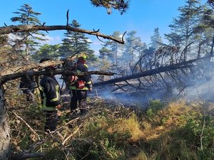 Les pompiers de l'Aveyron appelés en renfort entre Aude et Hérault pour lutter contre le premier grand feu de l'été