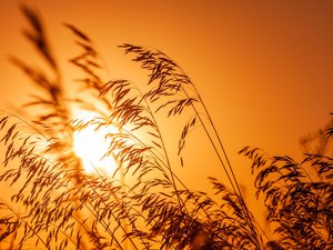 CARTES. Météo : les 40 °C et un nouveau dôme de chaleur en approche, déjà 10 départements en vigilance canicule ce samedi 4 juillet