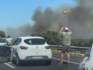 VIDÉOS. Un camion prend feu sur l'autoroute A9 en Occitanie et déclenche un violent feu, 60 hectares déjà brûlés